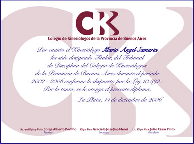 colegio de kinesi&oacute;logos .:. lucas j concia - dise&ntilde;o en comunicacion visual
