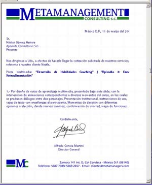 metamanagement consulting .:. lucas j concia - dise&ntilde;o en comunicacion visual - dise&ntilde;o grafico