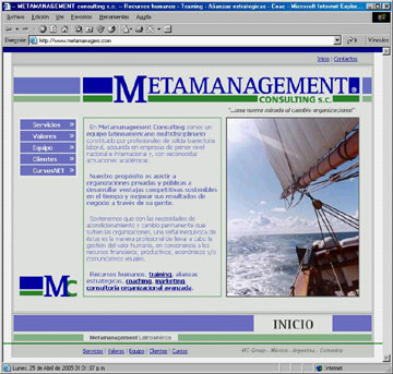 metamanagement consulting .:. lucas j concia - dise&ntilde;o en comunicacion visual - dise&ntilde;o grafico
