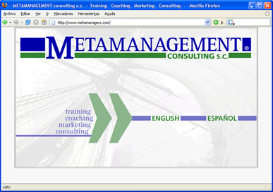 metamanagement consulting .:. lucas j concia - dise&ntilde;o en comunicacion visual - dise&ntilde;o grafico