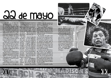 serlumpenhoy n9 dise&ntilde;o